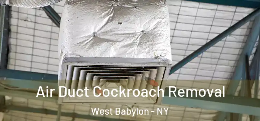  Air Duct Cockroach Removal West Babylon - NY
