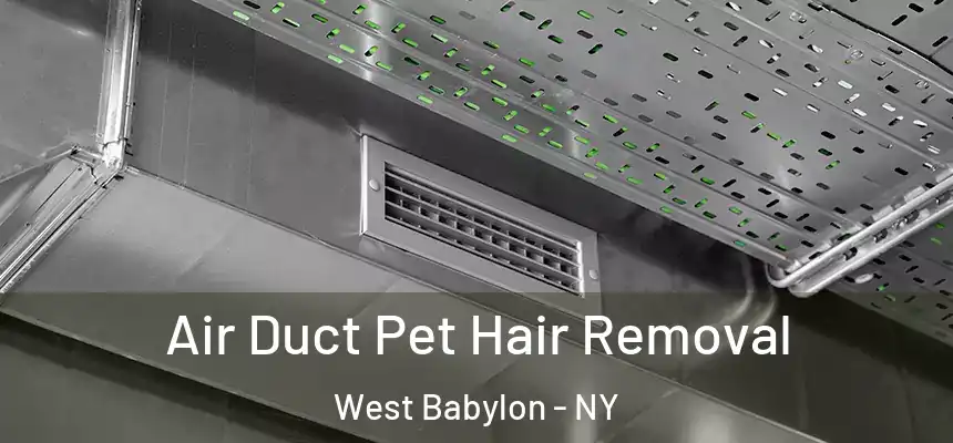  Air Duct Pet Hair Removal West Babylon - NY