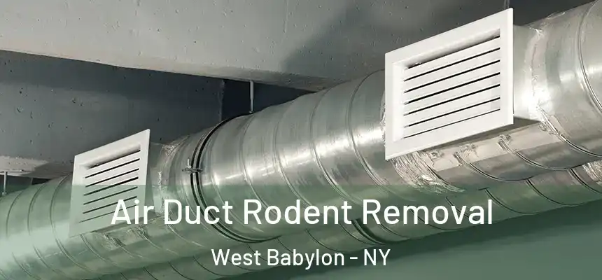 Air Duct Rodent Removal West Babylon - NY
