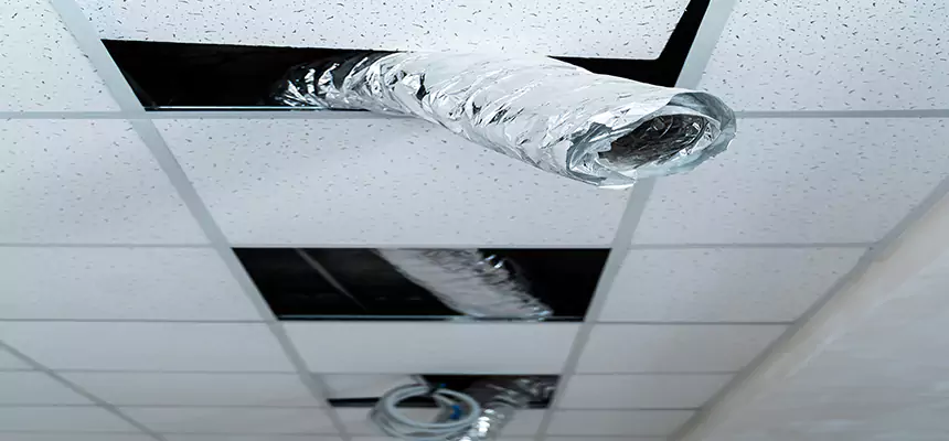 Affordable HVAC Sanitizing After Pest Removal in West Babylon