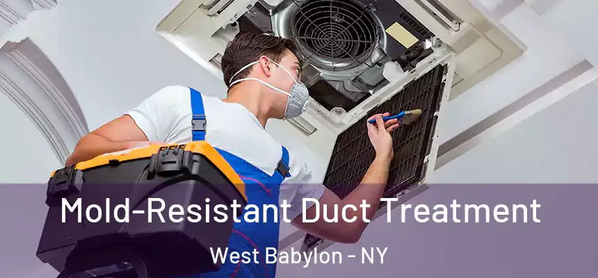  Mold-Resistant Duct Treatment West Babylon - NY