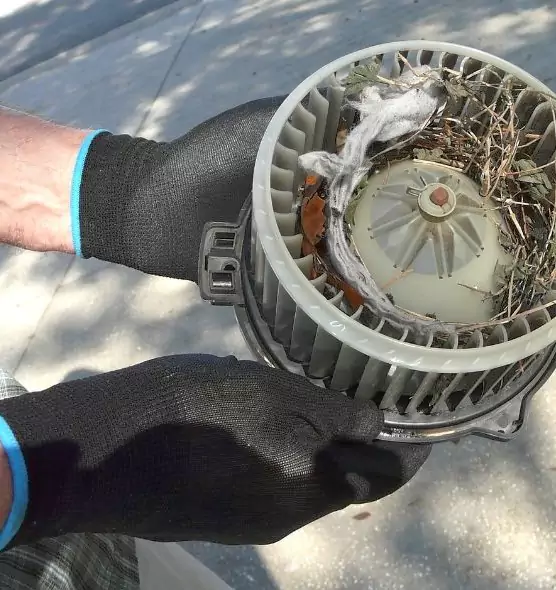 About Air Duct Rat Removal in West Babylon, NY