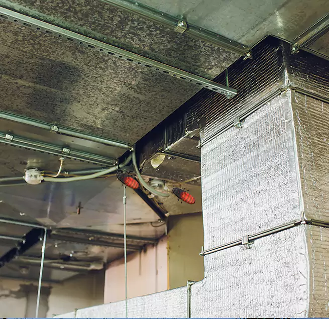 Why Homeowners & Businesses Trust Us in West Babylon, NY?