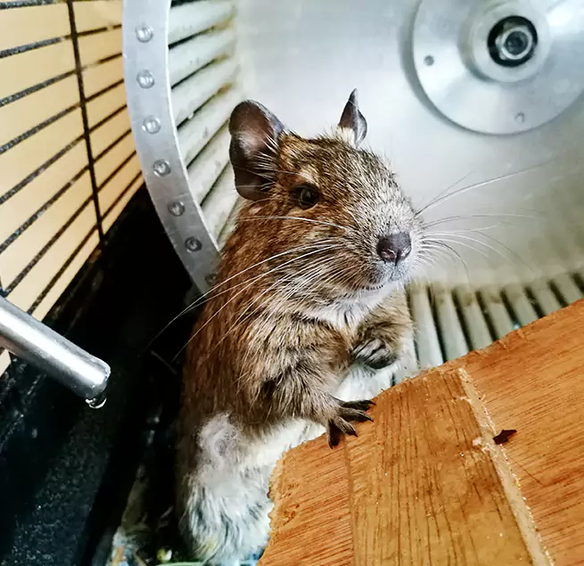 Why Homeowners & Businesses Trust Us West Babylon, NY